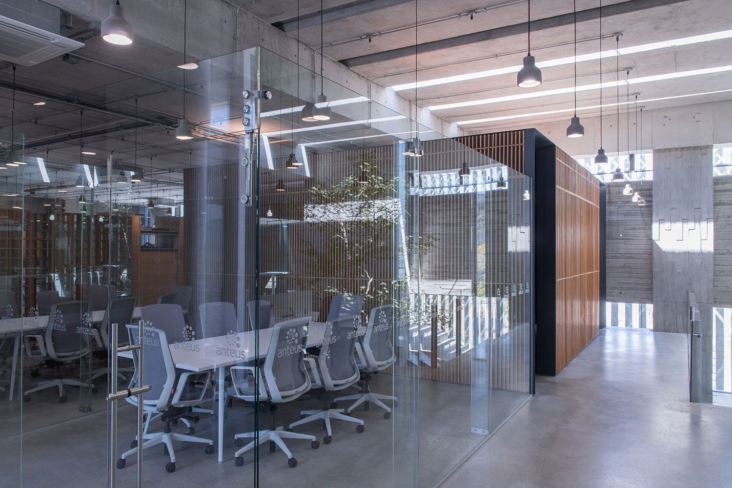 Corporativo_anteus_3