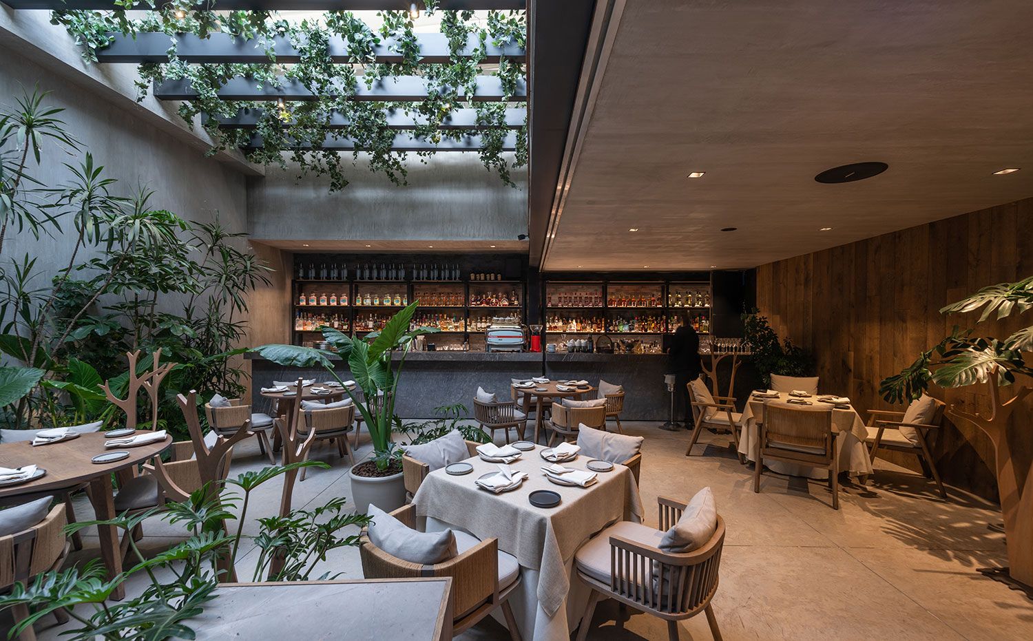 LOSTERIA_DEL_BECCO_2