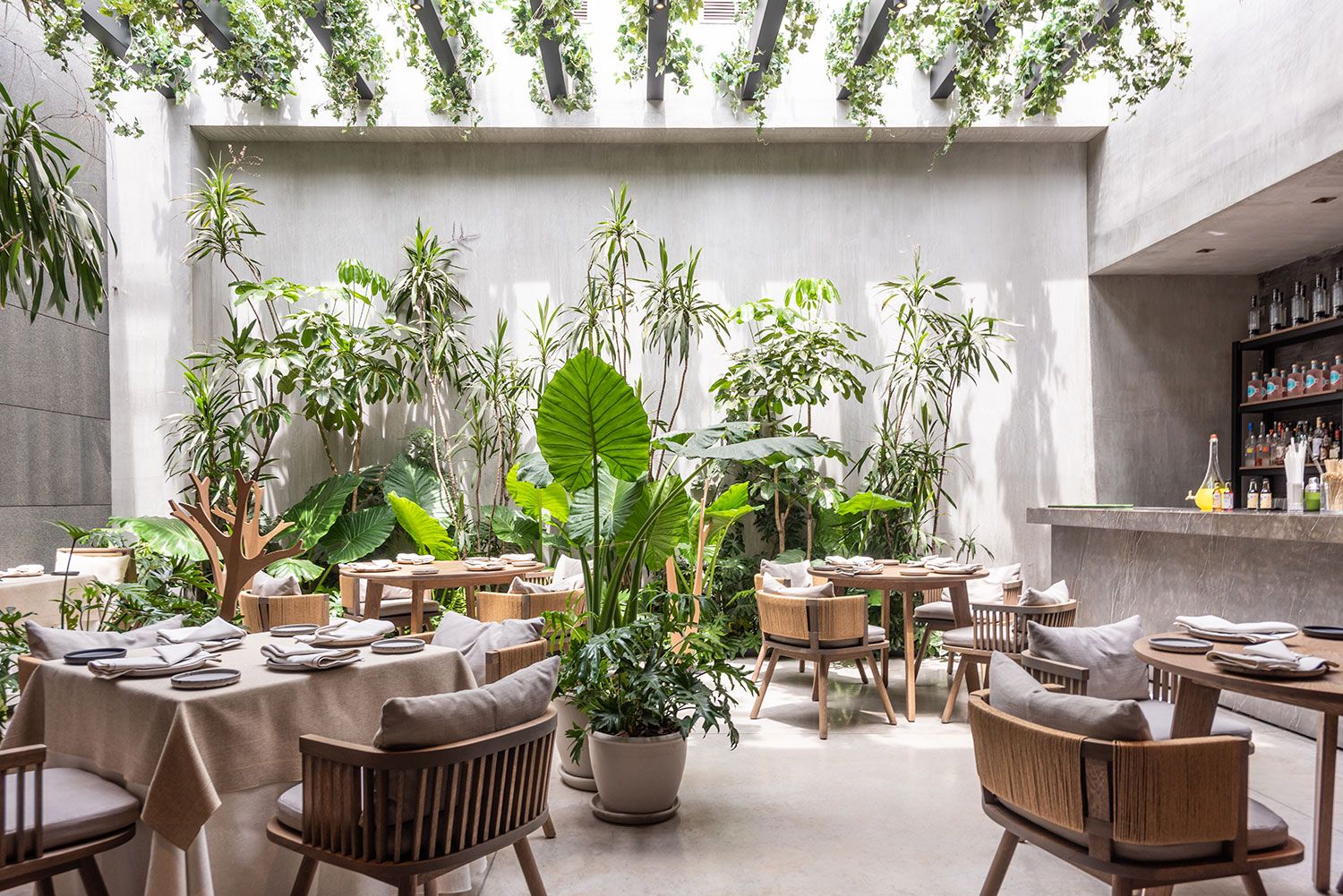 LOSTERIA_DEL_BECCO_3
