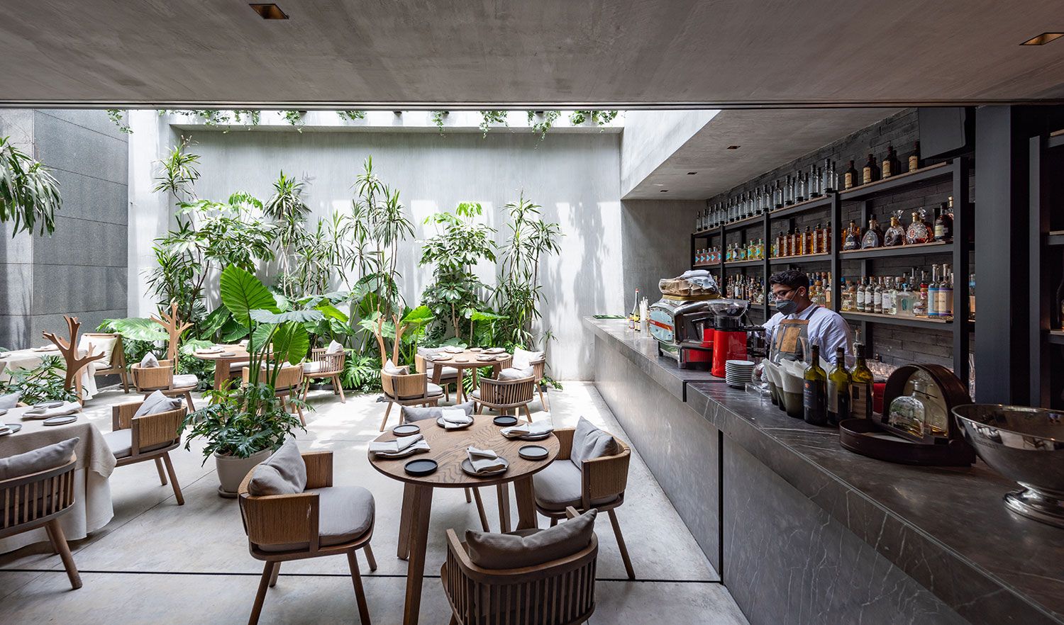 LOSTERIA_DEL_BECCO_4