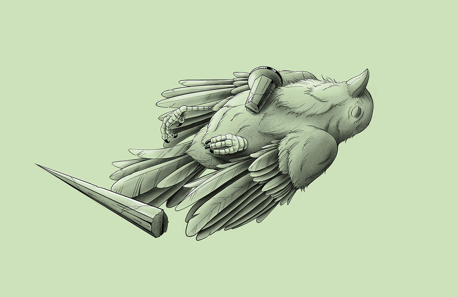 Resiliencia_aves_2