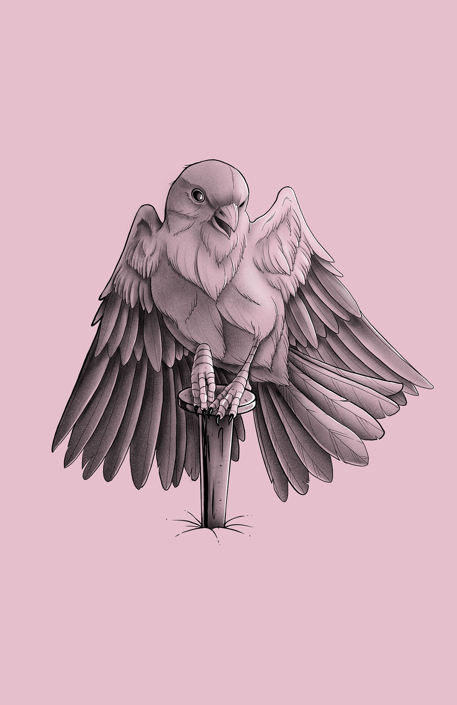 Resiliencia_aves_4