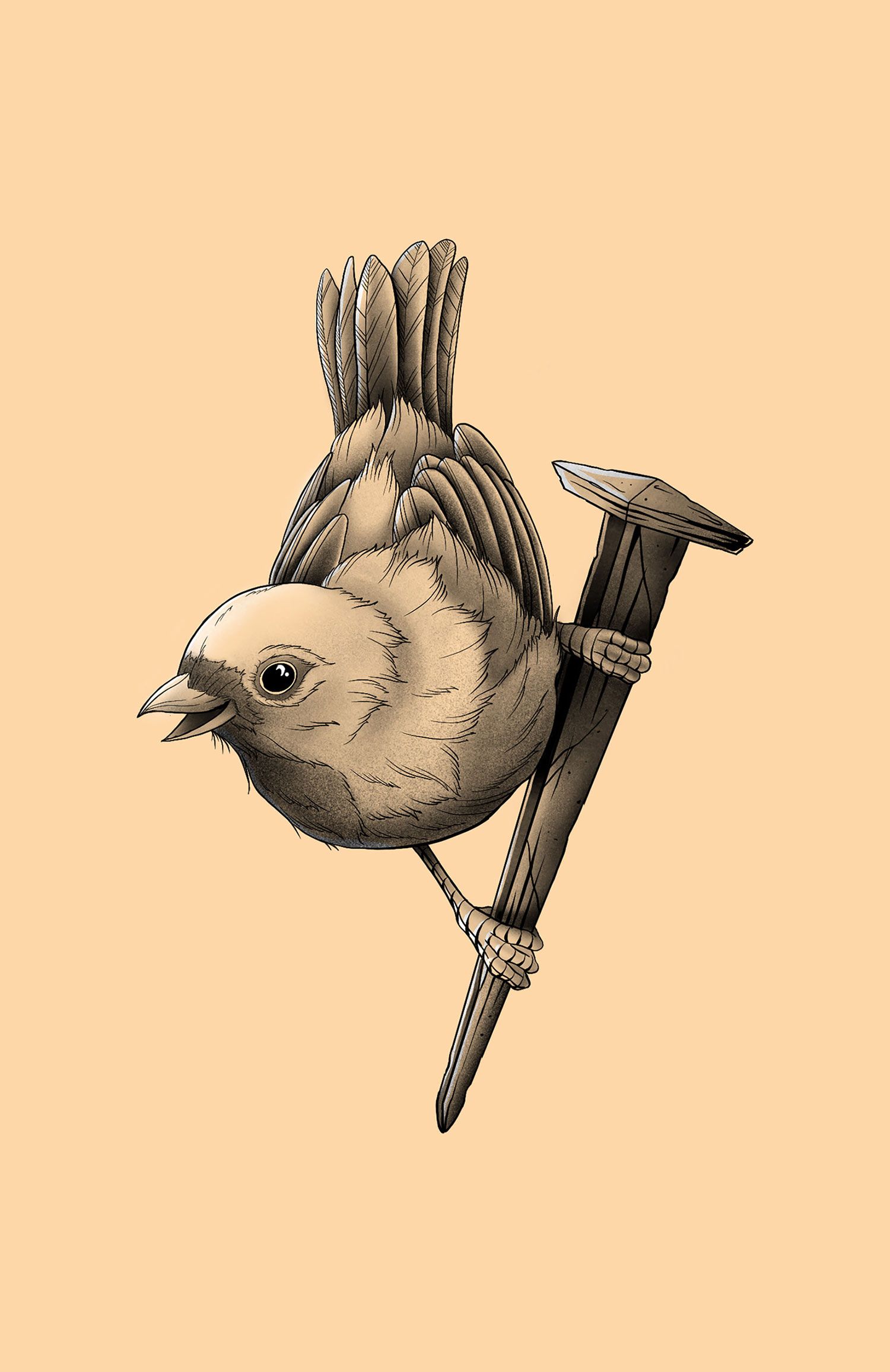Resiliencia_aves_5