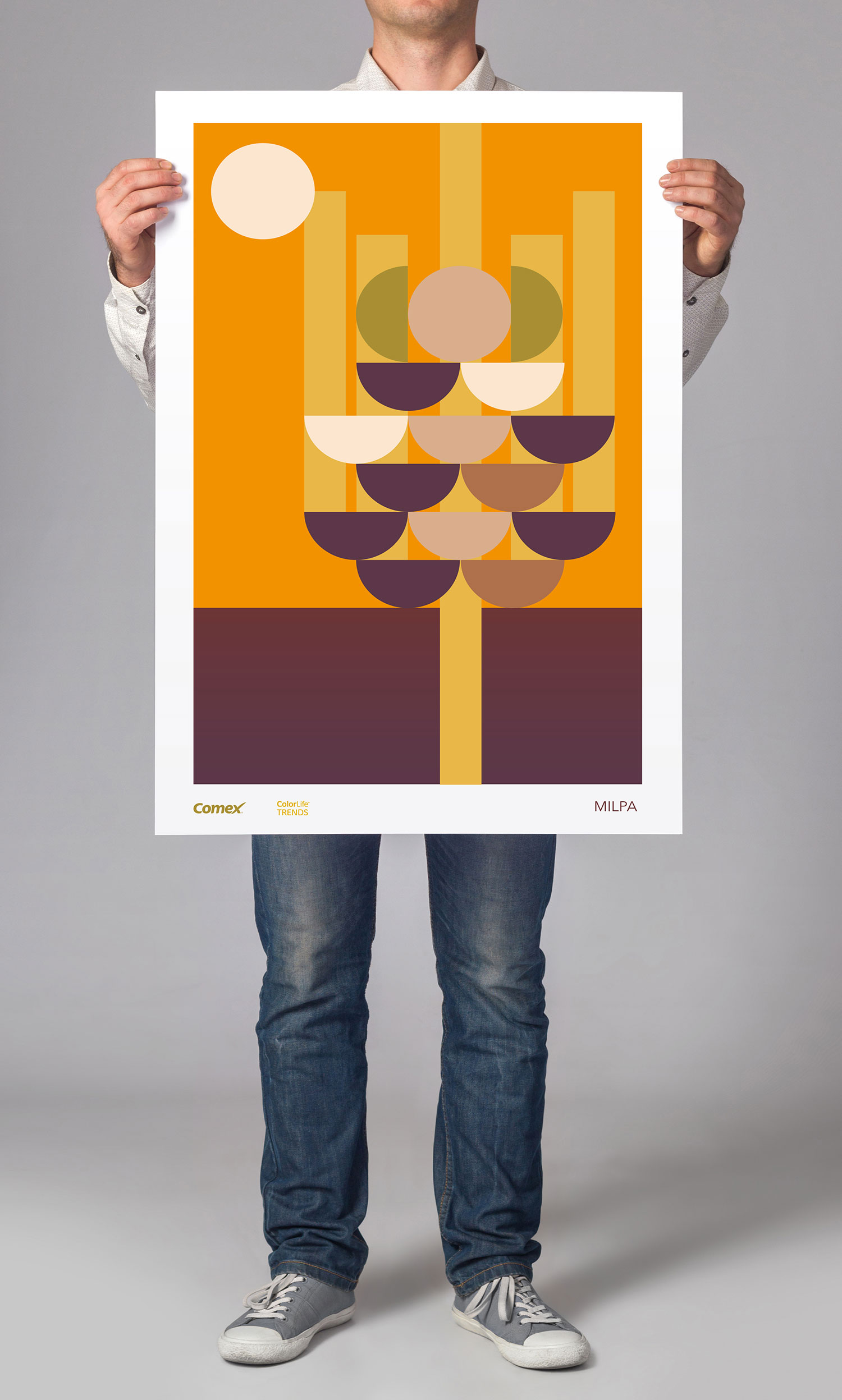 carteles_comex_4