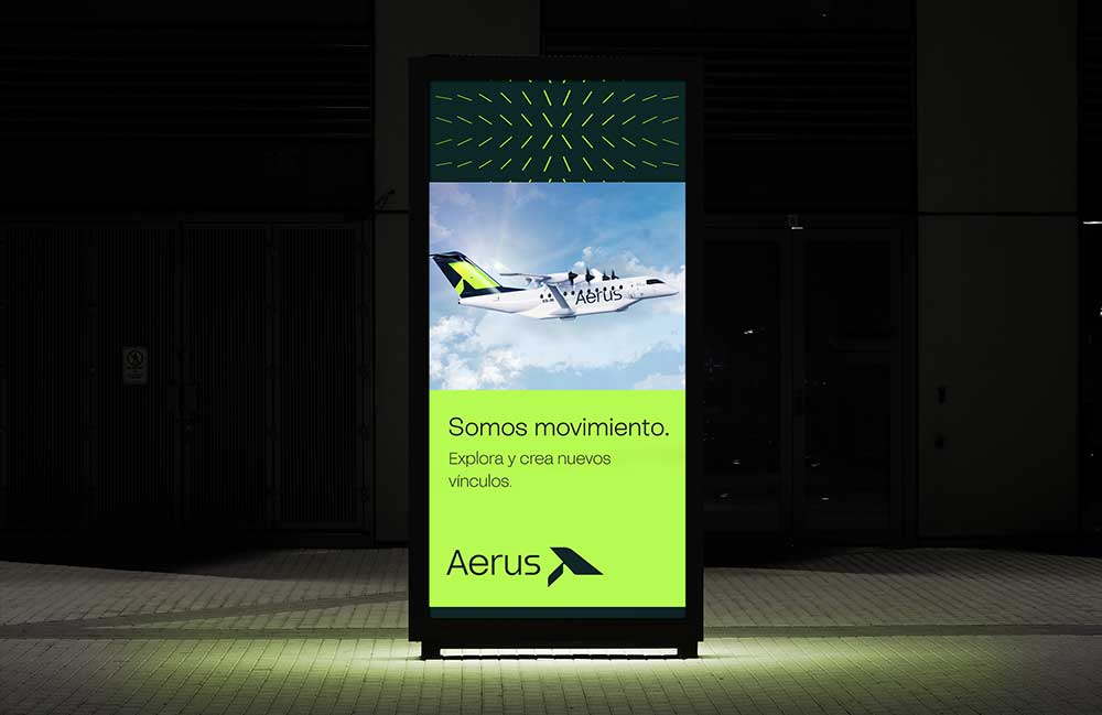 173_P_aerus_10