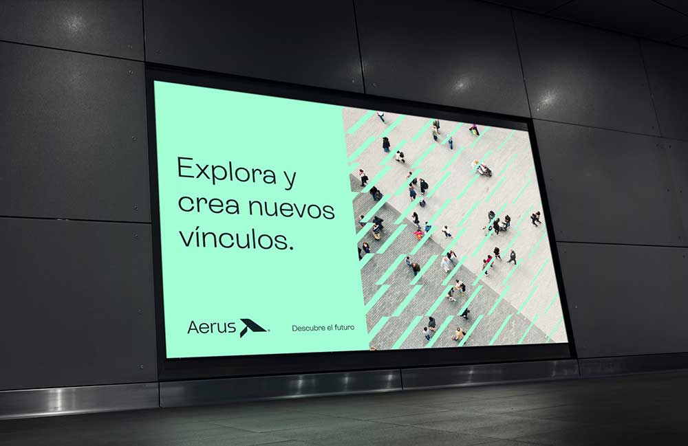 173_P_aerus_14