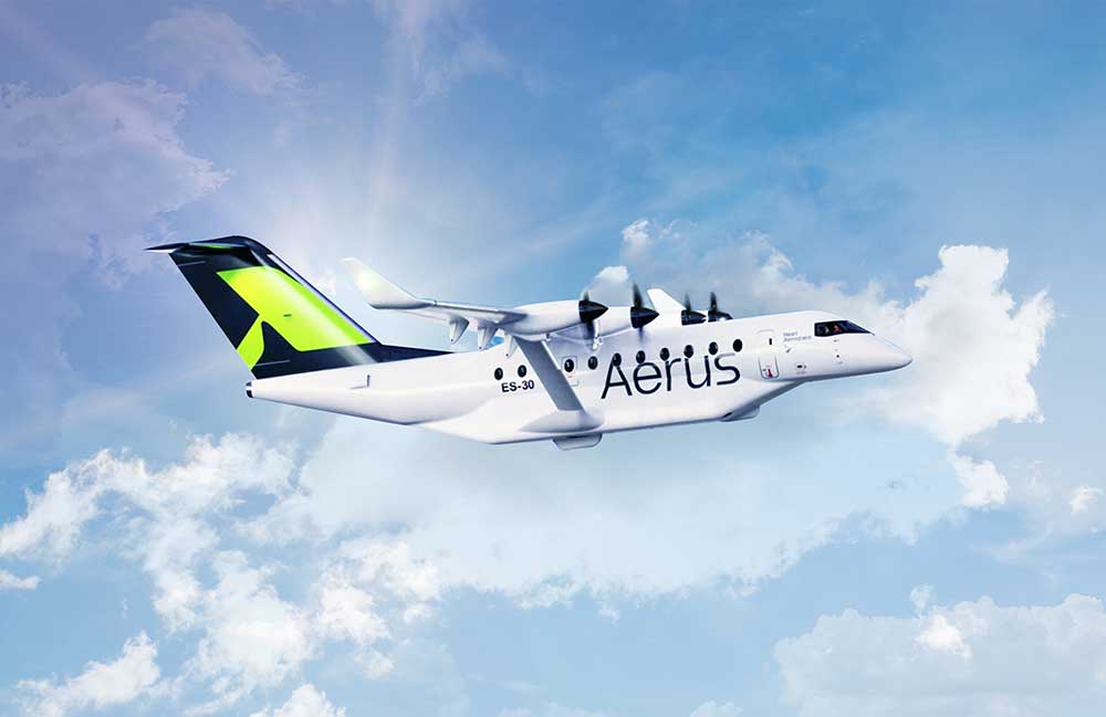 173_P_aerus_2