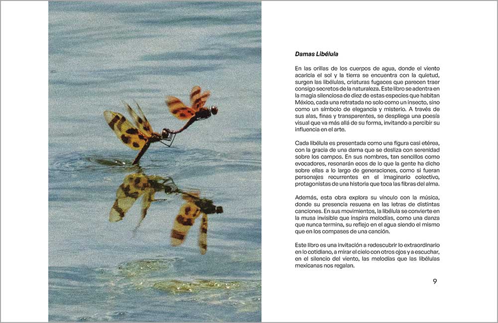 tipografia-estudiantes_p_231_3