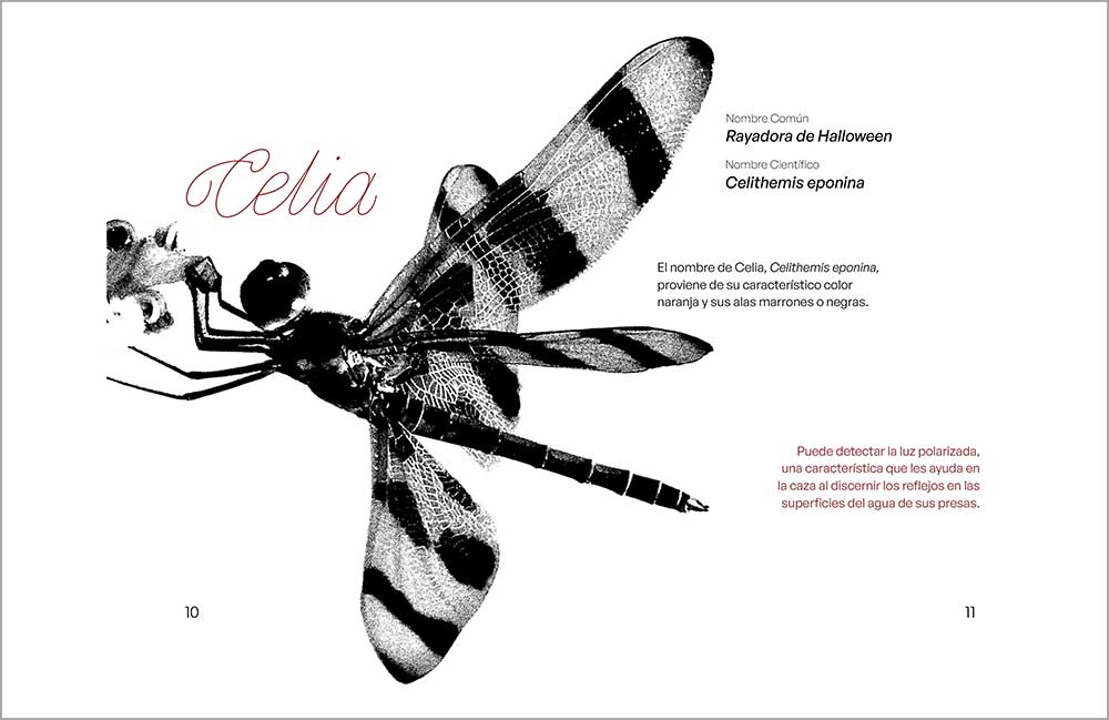 tipografia-estudiantes_p_231_4