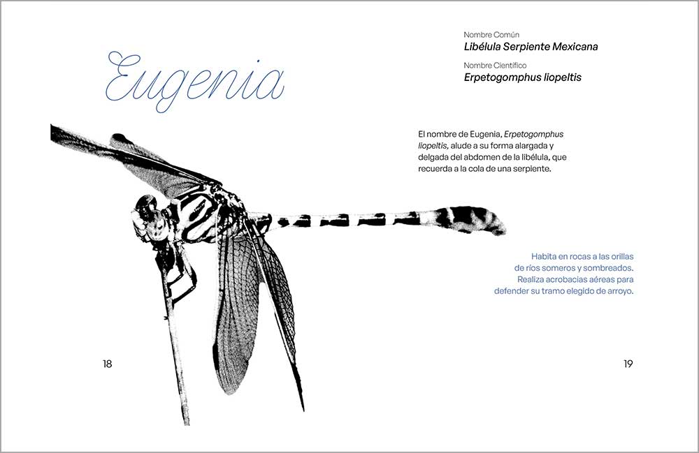 tipografia-estudiantes_p_231_8