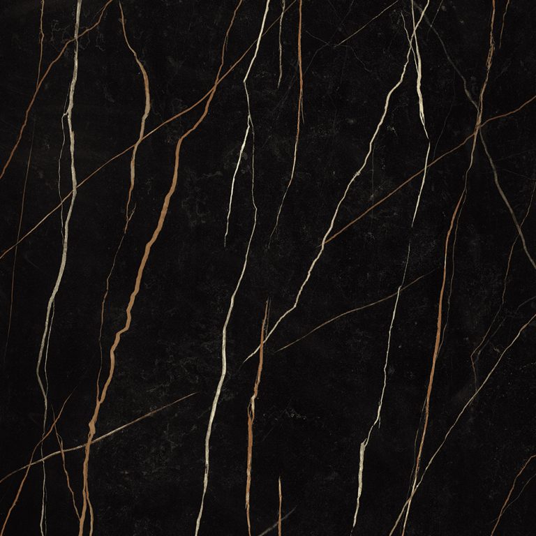 Sahara Noir