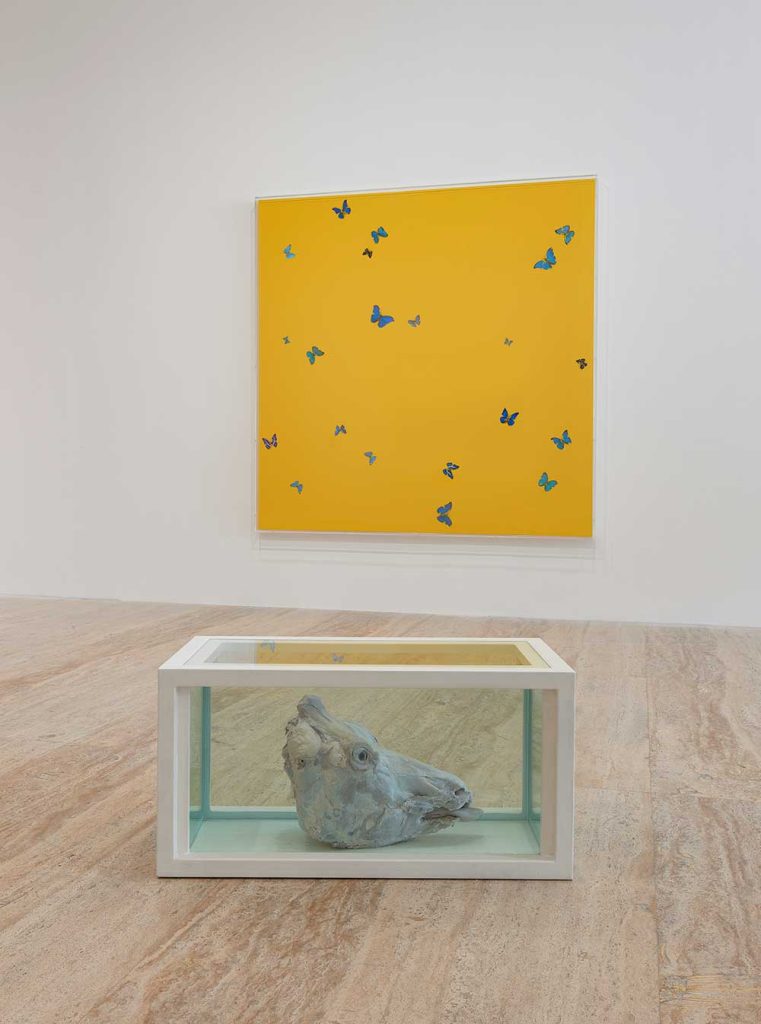 Damien_Hirst_6