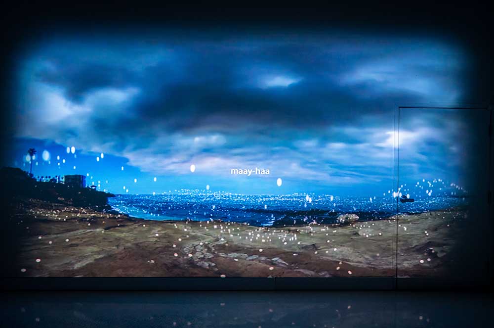 UC San Diego Visual Arts in partnership with Birch Aquarium at Scripps Institution of Oceanography