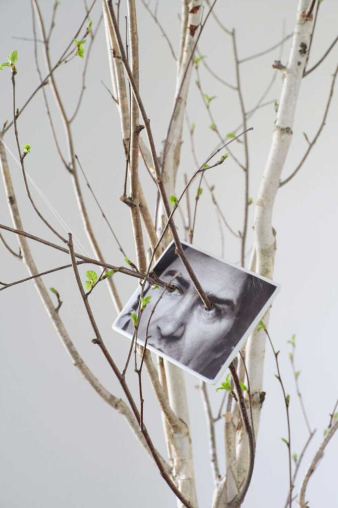 thoughts_roots_8