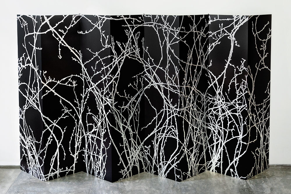 Rosal, 2025. Aluminio anodizado grbado. 240 x 400 cm. Jan Hendrix